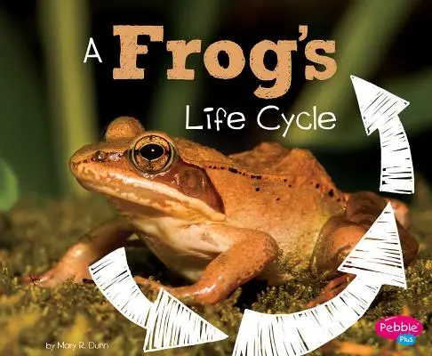 Životný cyklus žaby - A Frog's Life Cycle