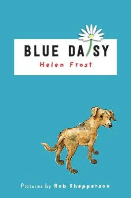 Modrá sedmokráska - Blue Daisy