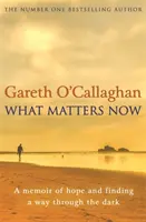 Na čom záleží teraz - Spomienky na nádej a hľadanie cesty cez tmu - What Matters Now - A Memoir of Hope and Finding a Way Through the Dark