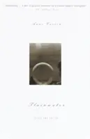 Plainwater (Rovná voda): Eseje a poézia - Plainwater: Essays and Poetry