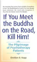 Ak na ceste stretneš Budhu, zabi ho: Púť psychoterapeutických pacientov - If You Meet the Buddha on the Road, Kill Him: The Pilgrimage of Psychotherapy Patients