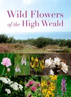 Divoké kvety High Weald - Wild Flowers of the High Weald