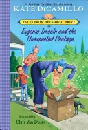 Eugenia Lincolnová a nečakaný balík: Príbehy z Deckawoo Drive, štvrtý diel - Eugenia Lincoln and the Unexpected Package: Tales from Deckawoo Drive, Volume Four