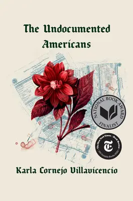 Nedokumentovaní Američania - The Undocumented Americans