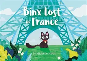 Binx stratený vo Francúzsku - Binx Lost in France