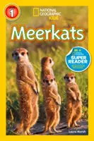 Surikaty - Meerkats