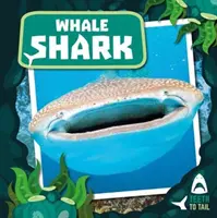 Žralok veľrybí - od zubov po chvost - Whale Shark - Teeth to Tail
