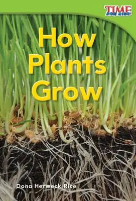 Ako rastú rastliny - How Plants Grow