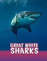 Veľké biele žraloky - Great White Sharks