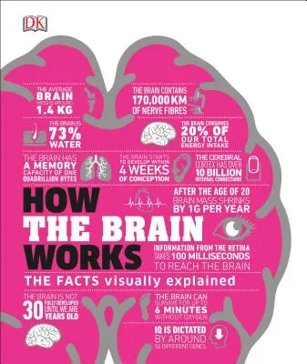 Ako funguje mozog: Vizuálne vysvetlené fakty - How the Brain Works: The Facts Visually Explained