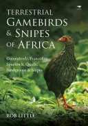 Suchozemské pernaté vtáky a bekasíny Afriky: Prepelice, prepelice, belorítky a bekasíny z Afriky - Terrestrial Gamebirds & Snipes of Africa: Guineafowls, Francolins, Spurfowls, Quails, Sandgrouse & Snipes