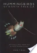 Kolibríky Severnej Ameriky: Vábenie, kŕmenie a fotografovanie - Hummingbirds of North America: Attracting, Feeding, and Photographing