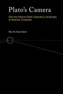 Platónova kamera: Ako fyzický mozog zachytáva krajinu abstraktných univerzálií - Plato's Camera: How the Physical Brain Captures a Landscape of Abstract Universals