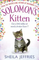 Šalamúnovo mačiatko - Solomon's Kitten