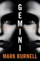 Blíženci - Gemini