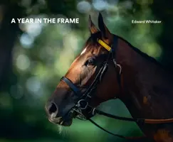 Rok v zábere - A Year in the Frame