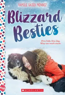 Blizzard Besties (Blizzard Besties): A Wish Novel - Blizzard Besties: A Wish Novel