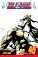 Bleach, zv. 45, 45 - Bleach, Vol. 45, 45