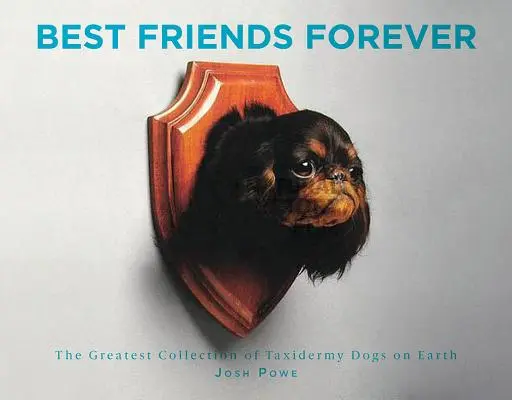 Najlepší priatelia navždy: Najväčšia zbierka taxidermií psov na svete - Best Friends Forever: The Greatest Collection of Taxidermy Dogs on Earth