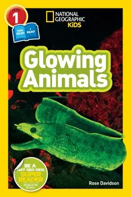 National Geographic Readers: Žiariace zvieratá (L1/Co-Reader) - National Geographic Readers: Glowing Animals (L1/Co-Reader)
