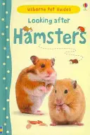 Starostlivosť o škrečky - Looking after Hamsters