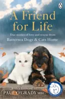 Priateľ na celý život - Friend for Life