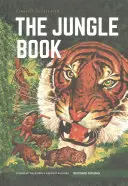 Kniha džunglí - Jungle Book