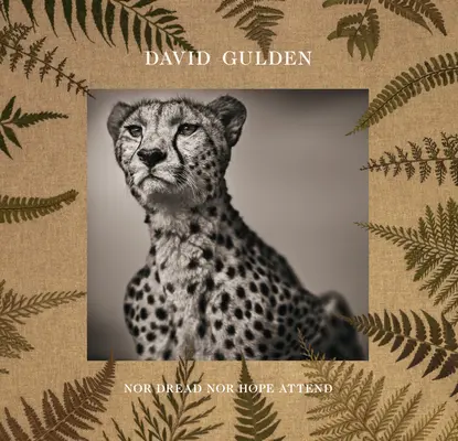 David Gulden: Nor Dread Nor Hope Attend: Fotografie z afrických plání - David Gulden: Nor Dread Nor Hope Attend: Photographs from the Plains of Africa