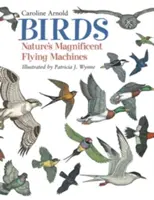 Vtáky: Veľkolepé lietajúce stroje prírody - Birds: Nature's Magnificent Flying Machines