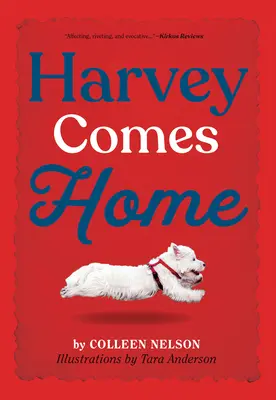Harvey sa vracia domov - Harvey Comes Home