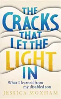 Trhliny, ktoré vpúšťajú svetlo - Čo som sa naučil od svojho postihnutého syna - Cracks that Let the Light In - What I learned from my disabled son