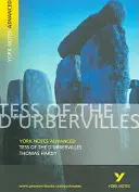 Tess z rodu D'Urbervillovcov: York Notes Advanced - všetko, čo potrebujete, aby ste dobehli, naučili sa a pripravili sa na hodnotenie 2021 a skúšky 2022 - Tess of the D'Urbervilles: York Notes Advanced - everything you need to catch up, study and prepare for 2021 assessments and 2022 exams