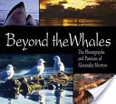 Za veľrybami - Fotografie a vášne Alexandry Mortonovej - Beyond the Whales - The Photographs and Passions of Alexandra Morton