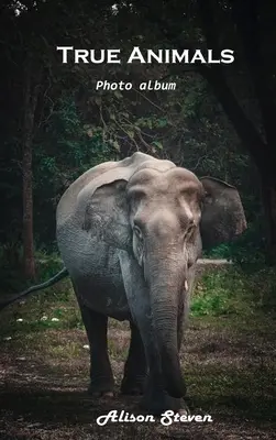 Pravé zvieratá: Fotoalbum: Živočíchy a zvieratá - True Animals: Photo album