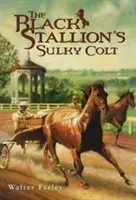 Čierny žrebec Sulky Colt - The Black Stallion's Sulky Colt