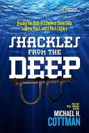 Okovy z hlbín: Po stopách potopenej otrokárskej lode, trpkej minulosti a bohatého dedičstva - Shackles from the Deep: Tracing the Path of a Sunken Slave Ship, a Bitter Past, and a Rich Legacy