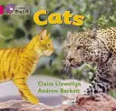 Mačky - Cats