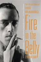Oheň v bruchu: Život a doba Davida Wojnaroviča - Fire in the Belly: The Life and Times of David Wojnarowicz