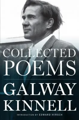 Zborník básní - Collected Poems