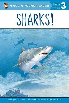 Žraloky! - Sharks!