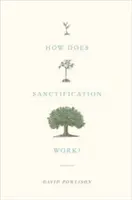 Ako funguje posvätenie? - How Does Sanctification Work?