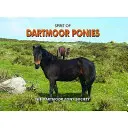 Duch Dartmoorských poníkov - Spirit of Dartmoor Ponies