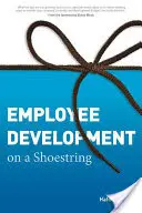 Rozvoj zamestnancov s malými nákladmi - Employee Development on a Shoestring