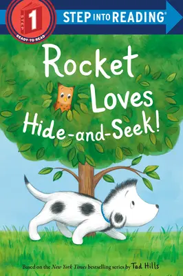 Raketa miluje schovávačku! - Rocket Loves Hide-And-Seek!