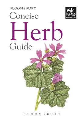 Stručný sprievodca bylinkami - Concise Herb Guide
