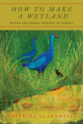 Ako si vytvoriť mokraď: Voda a morálna ekológia v Turecku - How to Make a Wetland: Water and Moral Ecology in Turkey