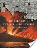 Knižnica Villa Dei Papiri v Herculaneu - Library of Villa Dei Papiri at Herculaneum