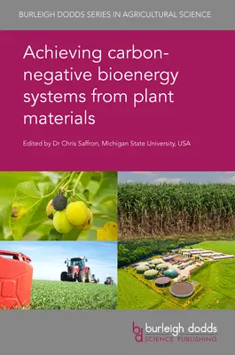Dosiahnutie uhlíkovo negatívnych bioenergetických systémov z rastlinných materiálov - Achieving Carbon-Negative Bioenergy Systems from Plant Materials