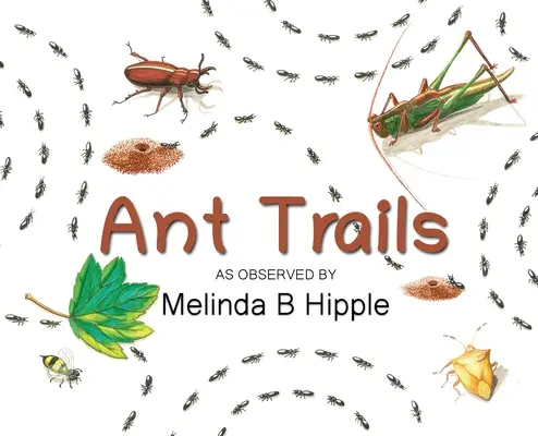 Mravčie chodníčky - Ant Trails