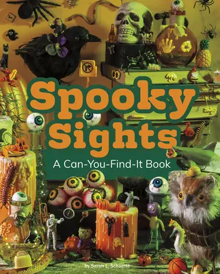 Strašidelné pamiatky: Knižka, ktorú si môžeš nájsť - Spooky Sights: A Can-You-Find-It Book